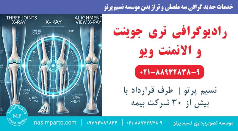 تری جوینت (Three Joints) و الانمنت ویو (Alignment View)